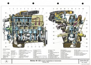 m1232.jpg