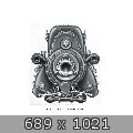 55678.jpg