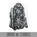 55681.jpg