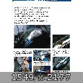 55816.jpg