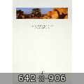 9153.jpg